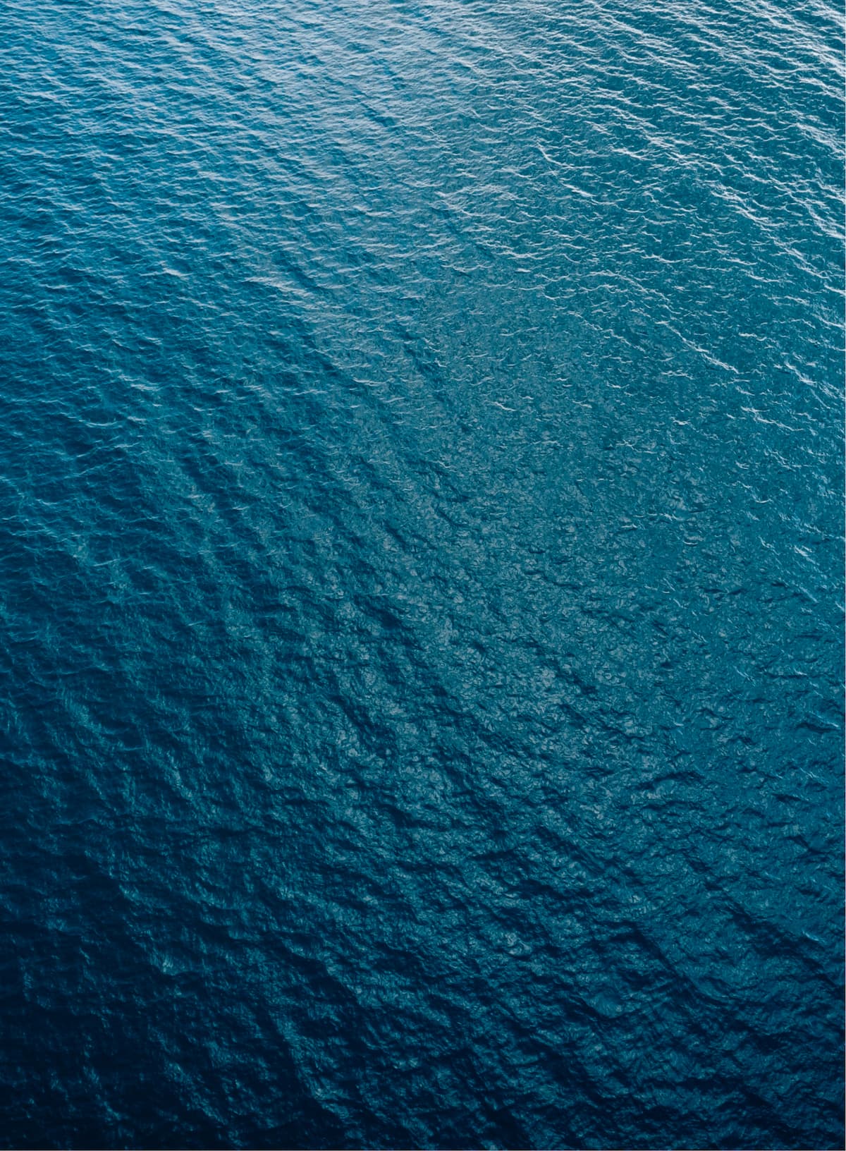 company-main